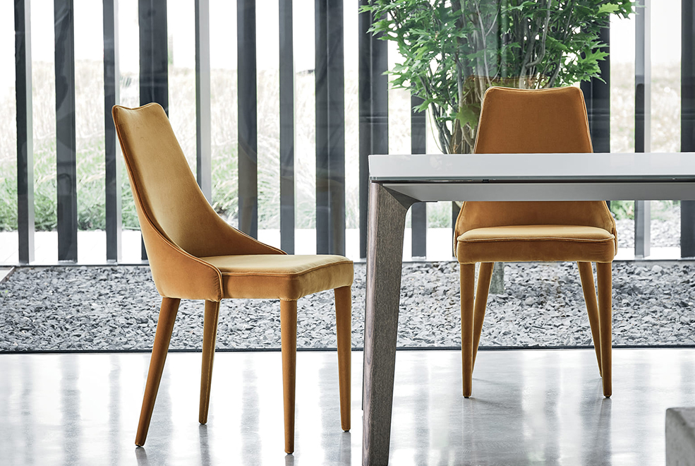 Clara Dining Chair thumb