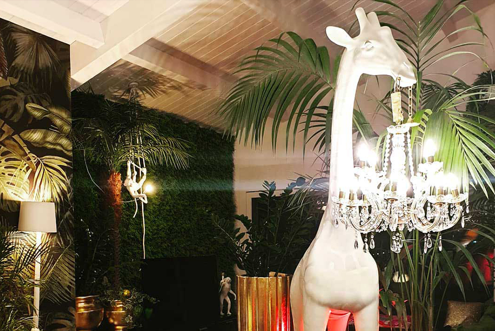 Giraffe in Love M Lighting gallery